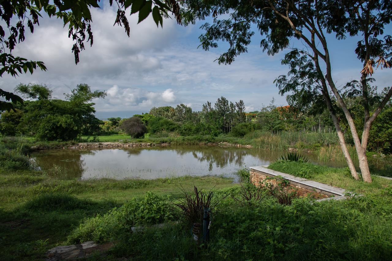 Dhole'S Den Bandipur Villa Exterior photo
